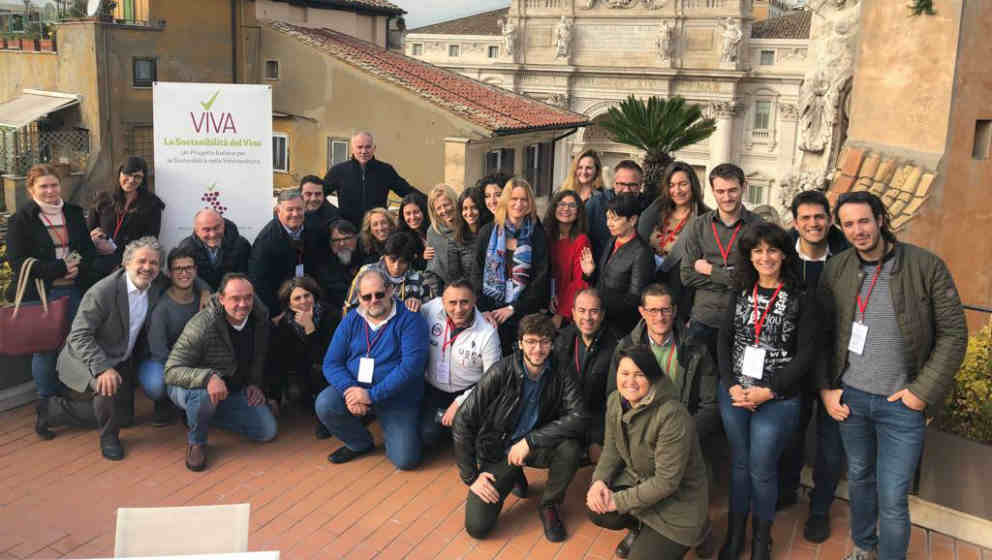 VIVA - La sostenibilità della vitivinicultura in Italia